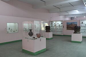 Harappa gallery national museum india