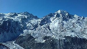 Himalayan