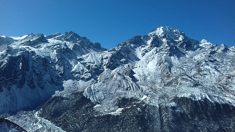 Himalayan