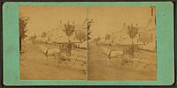 Horse pulling cart, Norway, Maine, by W. H. Green