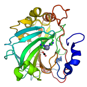 Human carbonic anhydrase II PDB=6LUX