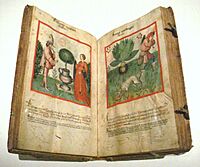 Ibn Butlan Receuil de Sante Rhenanie 2nd half 15th century