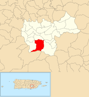 Location of Jájome Bajo within the municipality of Cayey shown in red