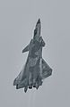 J-20 fighter (cropped)