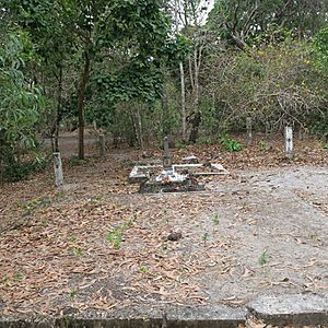 Jardine Graves, concrete platform, south grave area, facing southeast (2017).jpg