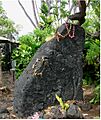 Ku'ula Stone Kahaluu
