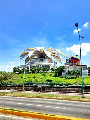 La Flor de Hannover esta en Venezuela.