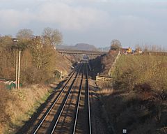 Langport railway cutting.JPG