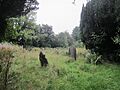 Llandaff Cathedral churchyard 2013