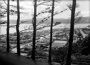 Looking through pine trees, over the suburb of Seatoun, Wellington, 1938-9 (4661212735)