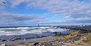 Montauk Harbor south jetty by Don Ramey Logan