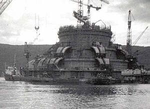 Ninian Platform