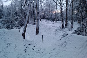 Nonsuch Park under snow