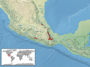 Ophryacus undulatus distribution.png