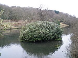 Otterford Lakes Nature Reserve