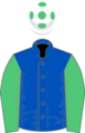 Owner Mr D A Johnson