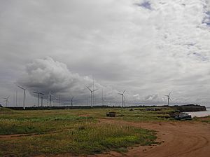 PEI wind farm 06