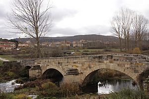 View of Palacios de la Sierra, 2009