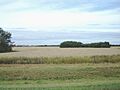 Parkland near Saskatoon