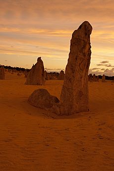 Pinnacles gnangarra-60