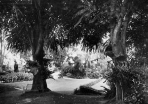 Queensland State Archives 31 Grounds of Government House Fernberg Road Paddington Brisbane March 1928