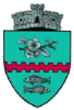 Coat of arms of Bunești
