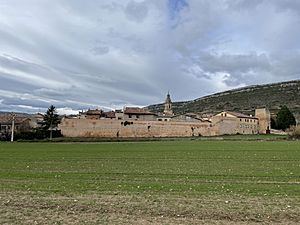 Medieval walls of Salinillas de Buradón