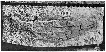 Sculpted fish on roof of cave, Abri du poison, Dordogne, Wellcome M0015068