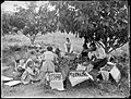 Sonter family packing fruit Epping 1911
