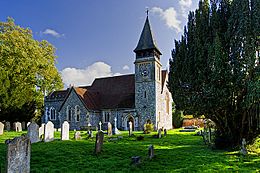 St Marys church, Stoke DAbernon (1) (geograph 4213462).jpg