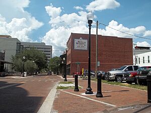 Tampa FL North Franklin St HD02