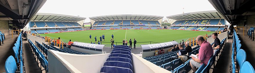 Battle for The Den: why is the Millwall inquiry happening and whom does it  serve?, Millwall