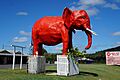 The Big Red Elephant