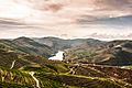 The Douro Valley vineyards