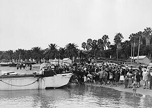 The Royal Navy during the Second World War- Operation Torch, North Africa, November 1942 A12662