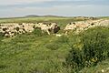 Thuburbo Maius Amphitheatre