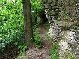 Trail adjacent to the escarpment Bay Shore County Park Brown County Wisconsin