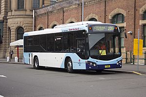Transport NSW liveried (mo 5436), operated by Punchbowl Bus Co, Custom Coaches 'CB80' bodied Volvo B7RLE at Central station