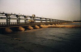 Trimmubarrage.jpg