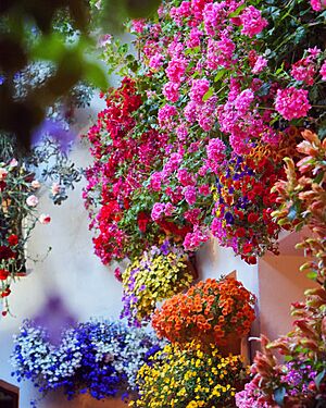 Typical interior patio with flowers at the Patio Festival in Córdoba, Andalucía, Spain