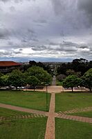 UCT Middle Campus - The Japonica Walk 02