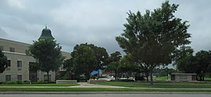 University of North Texas - Mozart Square