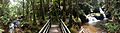 View from the Bamboo Waterfall