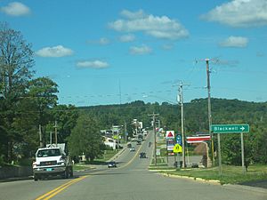 Looking north at the community of Wabeno skyline on WIS 32