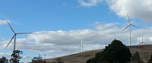 Waubra Wind Farm