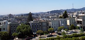 A southern view from Alta Plaza Park, which is in the Pacific Heights neighborhood. Most of the valley in the central part of this image is in the Western Addition neighborhood.
