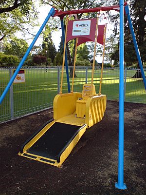 Wheelchair Playground Swing