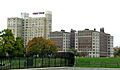 Whittier Hotel Panorama Detroit