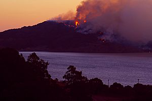 Wildfire on Angel Island com