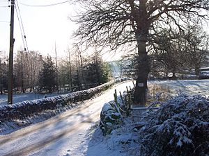 Winter in Nidderdale